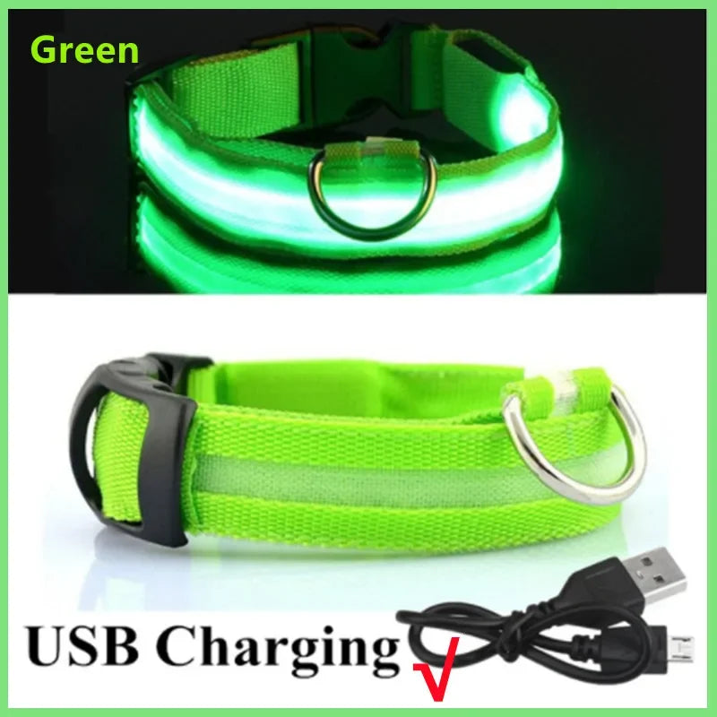 Usb Cat Dogs Collars Detachable Night Led Glow