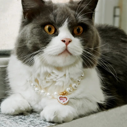 Adjustable Pet Pearl Necklace Accessories