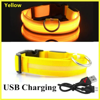 Usb Cat Dogs Collars Detachable Night Led Glow
