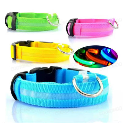 Usb Cat Dogs Collars Detachable Night Led Glow