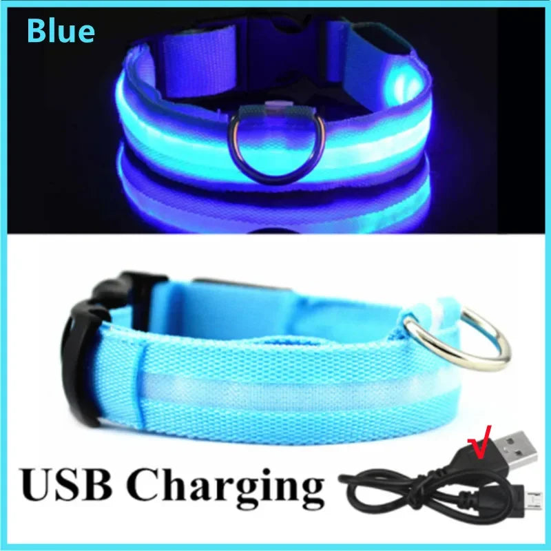 Usb Cat Dogs Collars Detachable Night Led Glow