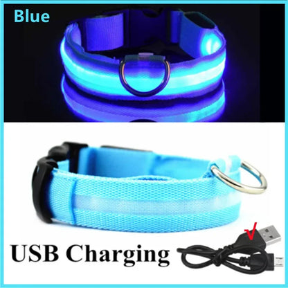 Usb Cat Dogs Collars Detachable Night Led Glow