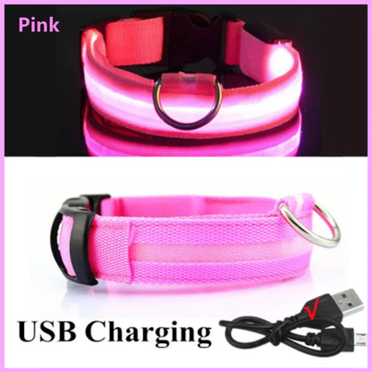 Usb Cat Dogs Collars Detachable Night Led Glow