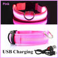 Usb Cat Dogs Collars Detachable Night Led Glow