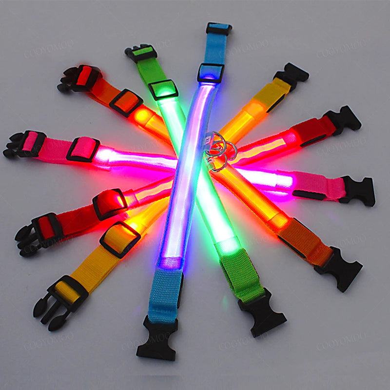 Usb Cat Dogs Collars Detachable Night Led Glow