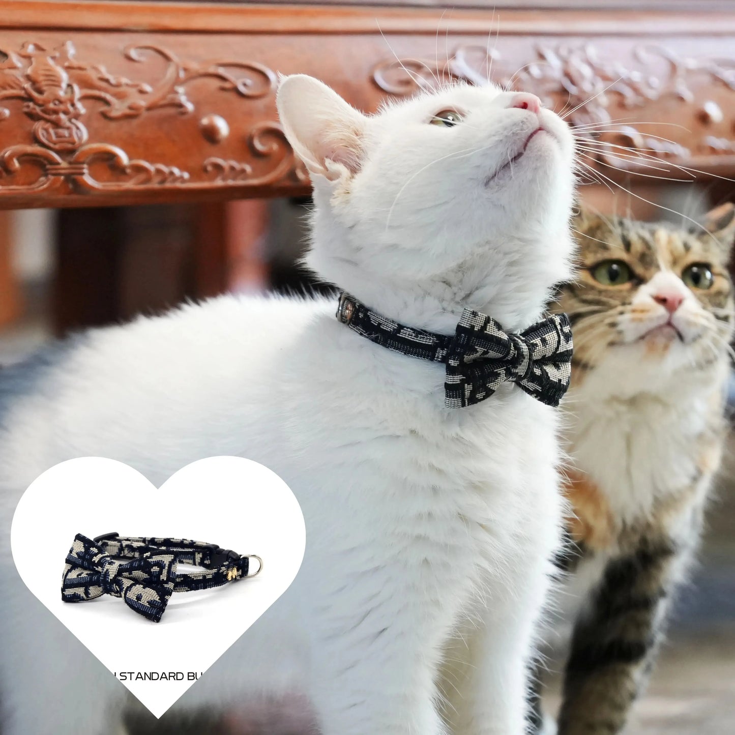 Pet Accesories Collar Series