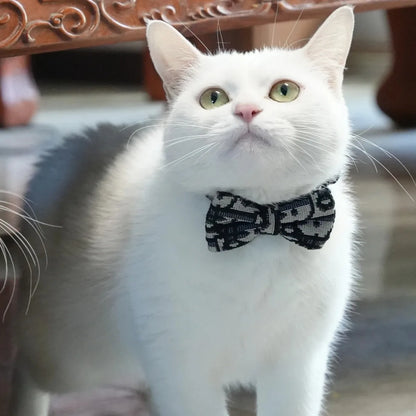 Pet Accesories Collar Series